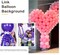 Red Link Balloons 6 Inch 120 Pcs Latex Quick Linking Balloon for Birthday Wedding Party Festival Decorations